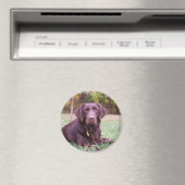 Aimant Laboratoire de chocolat (In Situ (Lave-vaisselle))