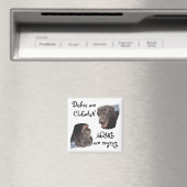 Aimant Laboratoire de chocolat (In Situ (Lave-vaisselle))