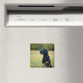 Aimant Laboratoire noir (In Situ (Lave-vaisselle))