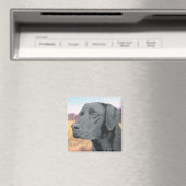 Aimant Laboratoire noir (In Situ (Lave-vaisselle))