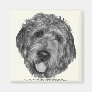 Aimant Labradoodle