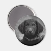 Aimant Labradoodle en B&W Badge (Recto/Verso)