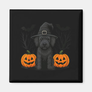 Aimant Labradoodle noir ensorcelé Chien Halloween Chauves