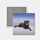 Aimant Labrador Chien assis sur la plage (Recto/Verso)