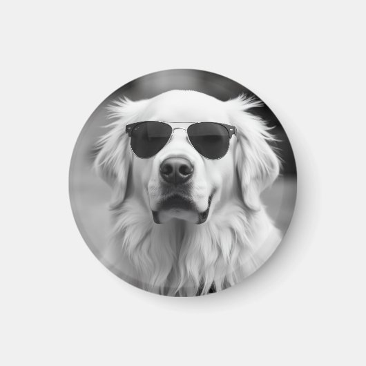 Aimant Labrador Cool avec Lunettes de Soleil – Création d (Devant)