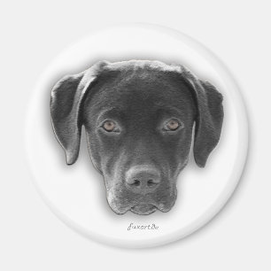Aimant Labrador Retriever