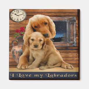Aimant Labrador Retriever