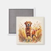 Aimant Labrador Retriever Fox Red (Recto/Verso)