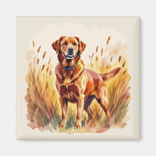 Aimant Labrador Retriever Fox Red (Devant)