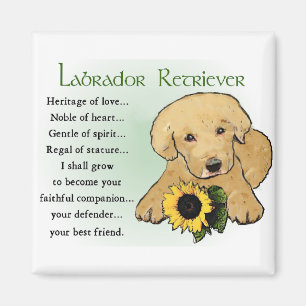 Aimant Labrador Retriever Gifts
