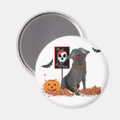 Aimant Labrador Retriever noir pirate (Recto/Verso)
