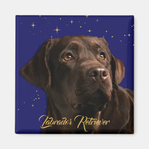 Aimant Labrador Retriever Starry Sky