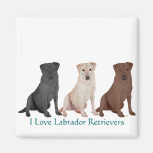 Aimant Labrador Retrievers - 3 couleurs à aimer
