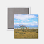 Aimant Lac Michigan, Sheboygan, Wisconsin (Recto/Verso)