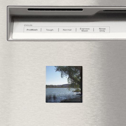 Aimant Lac Mojave Narrows (In Situ (Lave-vaisselle))