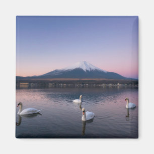 Aimant Lac mount Fuji Yamanaka avec des cygnes