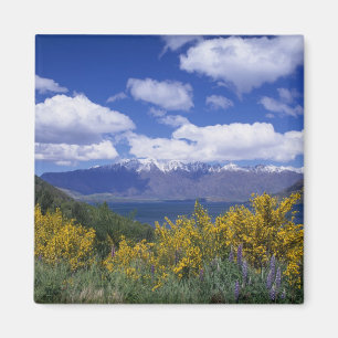 Aimant Lac Wakatipu et The Remarkables, Queenstown,