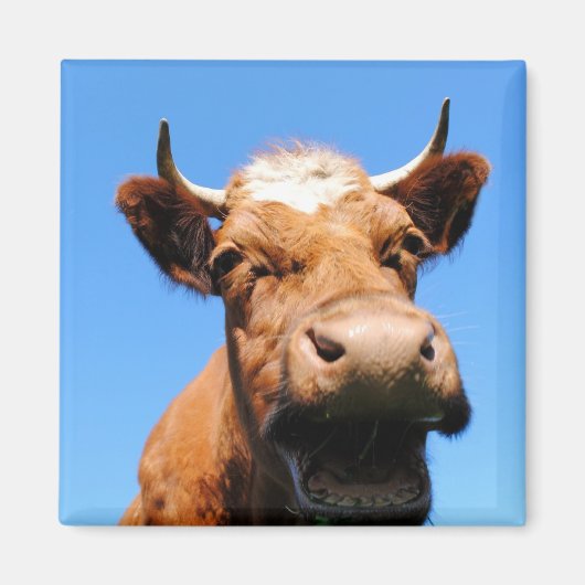 Aimant Lachende Kuh (Devant)