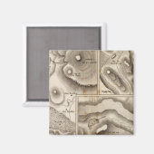 Aimant Lacs (Recto/Verso)