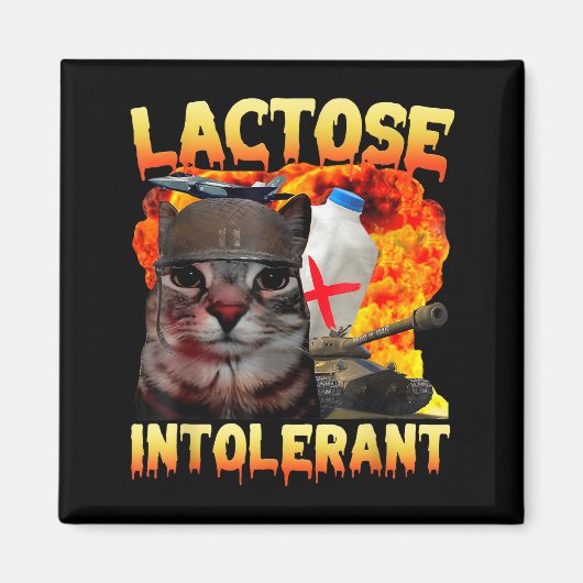 Aimant Lactose Intolerant Silly Cat Meme Funny Saying Cat (Devant)