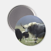 Aimant Ladakh, L'Himalaya, Yak (aimant) (Recto/Verso)