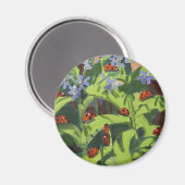 Aimant Ladybirds 2013 (Recto/Verso)