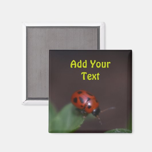 Aimant Ladybug (Recto/Verso)