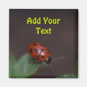 Aimant Ladybug (Devant)