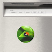 Aimant Ladybug (In Situ (Lave-vaisselle))
