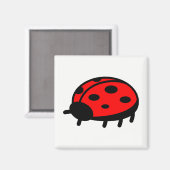 Aimant Ladybug (Recto/Verso)