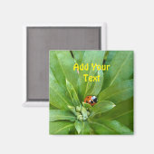 Aimant Ladybug (Recto/Verso)
