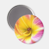 Aimant Ladybug à Lilly (Recto/Verso)