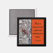 Aimant Ladybug Kisses (Recto/Verso)