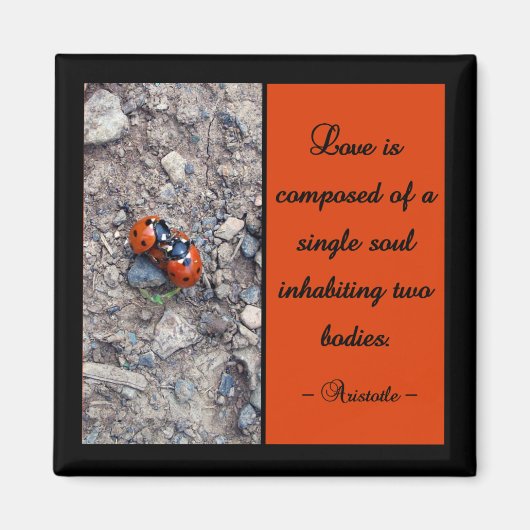 Aimant Ladybug Kisses (Devant)