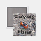 Aimant Ladybug Kisses (Recto/Verso)