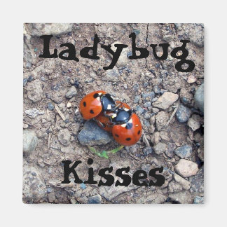 Aimant Ladybug Kisses