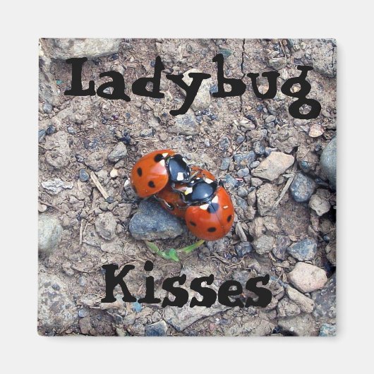 Aimant Ladybug Kisses (Devant)