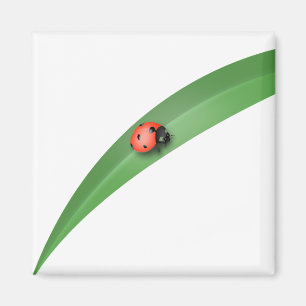 Aimant Ladybug Leaf