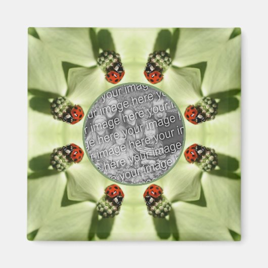 Aimant Ladybug Sur Dogwood Nature Ajouter Votre Photo (Devant)