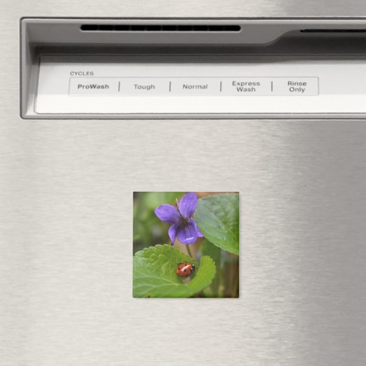 Aimant Ladybug sur les fleurs de violet doux (In Situ (Lave-vaisselle))