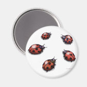 Aimant Ladybugs (Recto/Verso)