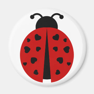 Aimant ladybugz.