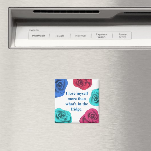 Aimant L'affirmation du régime vous aime plus que la nour (In Situ (Lave-vaisselle))
