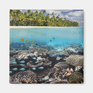 Aimant Lagune tropicale dans l'atoll du sud d'Ari dans