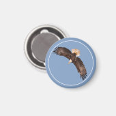 Aimant L'Aigle Puissant (Recto/Verso)