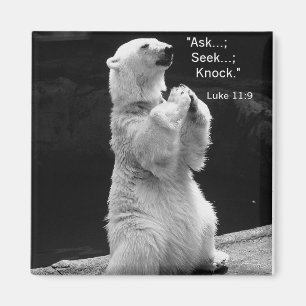 Aimant l'aimant avec la prière d'ours blanc demandent,