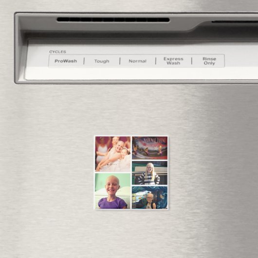 Aimant L'aimant de Kaitlin (In Situ (Lave-vaisselle))