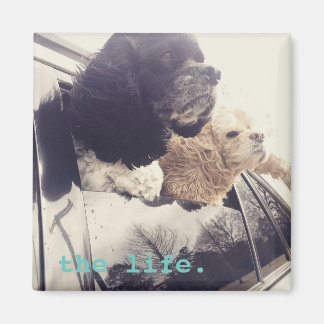 Aimant l'aimant de la bonne vie