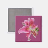 Aimant L'aimant de Lily de Carolyn (Recto/Verso)