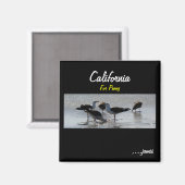 Aimant L'aimant de Penny (Recto/Verso)